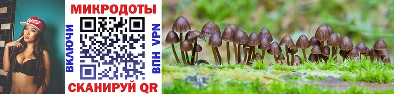 наркотики  Ялта  Псилоцибиновые грибы Psilocybine cubensis 