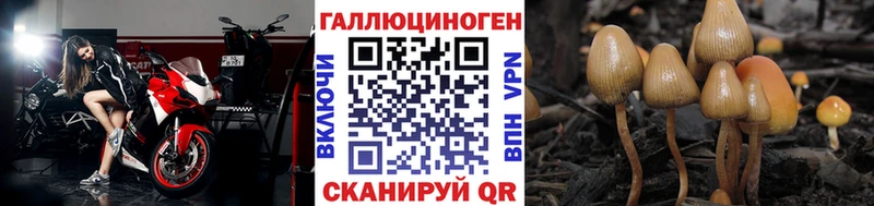 Галлюциногенные грибы Magic Shrooms Ялта