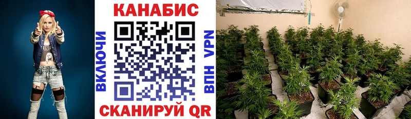 Конопля THC 21% Ялта